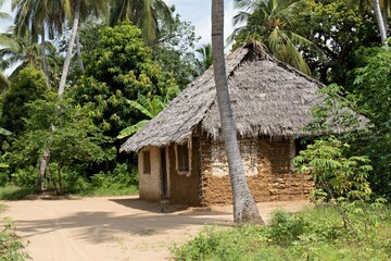 Fototapeta na wymiar View of the dwelling. Chole island. Tanzania. Africa.