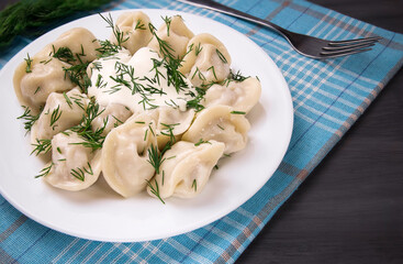 Meat dumplings - Russian dumplings, dumplings with meat on a plate on a black background