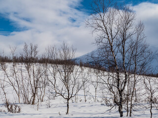 snowy winter landscape of Sarek national park in swedish lappland