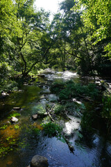 Obraz premium Bei Warin