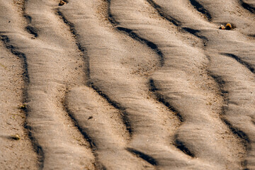 Sand texture surface with defined highlight and shadow. Warm color. Tropical beach concept. Ocean coast.