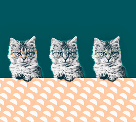 Modern art collage of cat with fancy sunglasses.