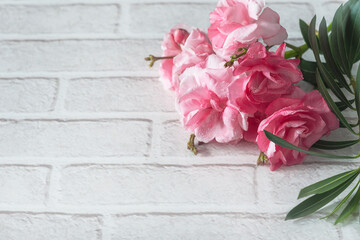 Pink blooming nerium oleander twig on white brick background. Space for text