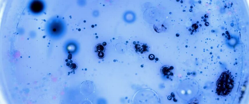 Macro Textures with Vibrant Neon Color Palette. Abstract Background Made with Oil Mixed with Blue Dye, Ink, and Paint.