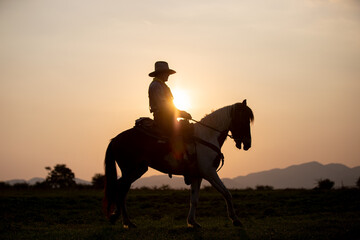 Silhouette Cowboy on horseback against a beautiful sunset, cowboy and horse at first light,mountain, river and lifestyle with natural light background..