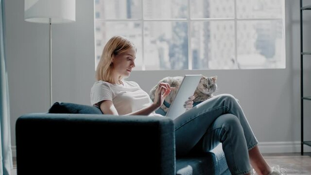 Lady works on tablet near fluffy cat sitting on blue couch