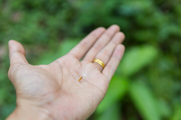 Selective focus.Seeds on the left hand