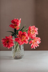 Glass vase with bouquet of beautiful tulips on pastel wall background.