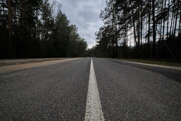 Fototapeta premium An asphalt road through the forest, a close-up shot from a lower angle in the middle of the median strip.