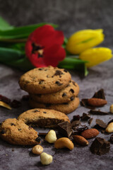 chocolate cookies and tulips on a gray background