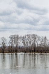 Landscape on a cloudy day with clouds and a river. Vertical photo.