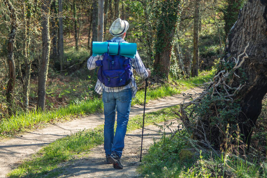 man with backpack enjoying trip or hiking - Powered by Adobe