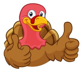 Turkey Thanksgiving or Christmas Cartoon Character