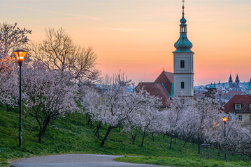 Fototapeta na wymiar The Petrin hill in the city center of Prague in early spring. 