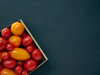 Red and yellow tomatoes in a cardboard box on a dark background with copy space