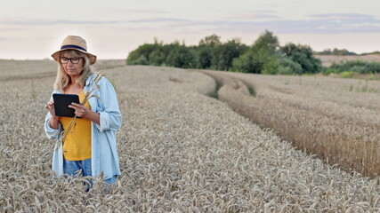Beautiful Middle Aged Woman On Wheat Field. Woman Farmer Or Researcher Standing With Gadget In Hands. She Is Wearing Hat And Glasses. In Her Hands Few Ears Of Wheat.