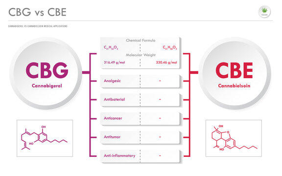 CBG vs CBE, Cannabigerol vs Cannabielsoin horizontal business infographicillustration about cannabis as herbal alternative medicine and chemical therapy, healthcare medical vector.