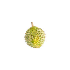 The ripe durian is ready to eat isolated on white background.