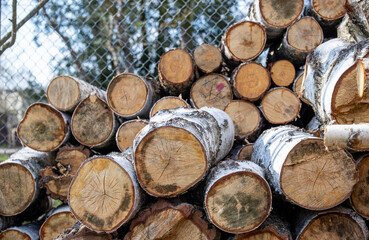 Fototapeta premium wood background cut trees Wood texture cut birch logs. Firewood 