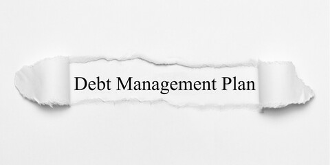 Obraz premium Debt Management Plan