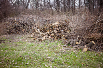 Pile of sawed or split firewood. Harvesting firewood for the bath or for other purposes. Heating and heat storage concept