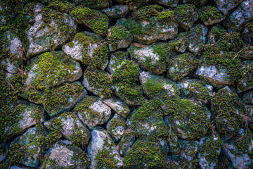 old stone wall covered by moss