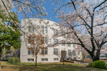 麻布歩兵第三連隊兵舎跡と満開の桜