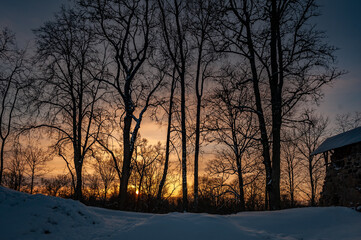 Silhouette of trees at sunset. Winter landscape. Selective focus.
