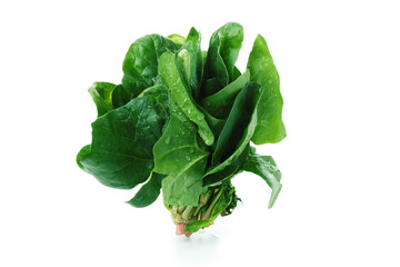 Raw fresh spinach isolated on white background