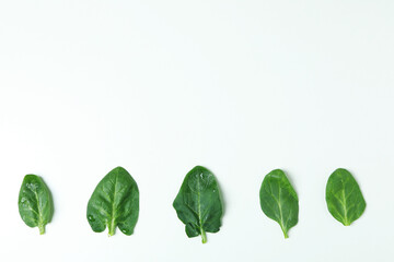 Fresh spinach leaves on white background, space for text