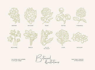 Set of hand drawn line art illustrations of flowers and leaves. Suit to brand identity, logo design
