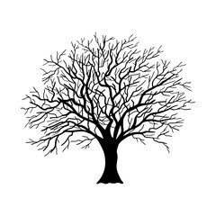 tree silhouette, isolated on white background