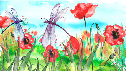 Watercolor landscape with the image of wild grasses, flowers, green plants, Red poppy, fields. Against the background of the blue sky. A dragonfly flies, a moth above the wildflowers.Pollen. 