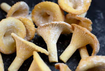 Homemade mushroom biscuits with stipes and sugar powder, weird shaped food
