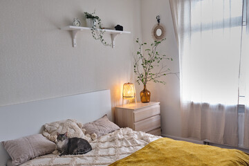 A cat on a bed next to a chest of drawers in a home interior, a night light next to a window. Plants in flower pots on a shelf and a pet on the couch
