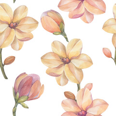 Magnolia seamless botanical pattern. Watercolor botanical ornament. Pink flowers on a white background.