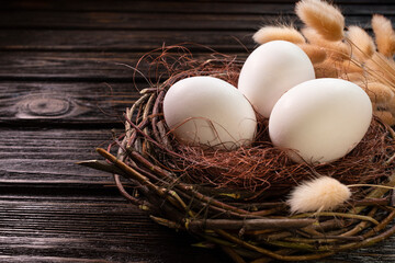 White eggs in a nest on dark wooden background with copy space