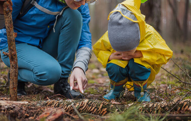 Mom and child walking in the forest after the rain in raincoats together, looking at mushrooms on a...