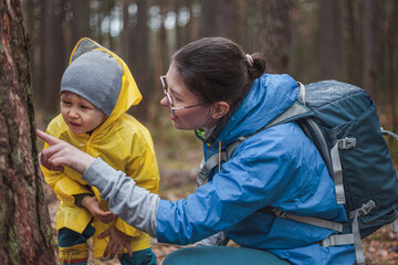 Mom and child walking in the forest after rain in raincoats together, looking at the bark of a tree