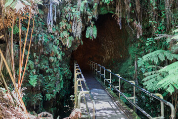 Lava Tunnel Eingang Volcanoes National Park Big Island Hawaii