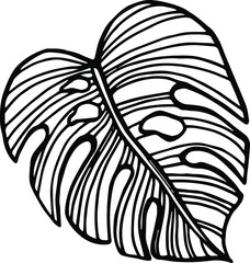 Single hand drawn tropical leaf of monstera. In doodle style, black outline isolated on a white background. Design cute element for card, poster, social media banner, sticker. Vector illustration.