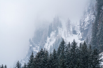 mystical landscape on a foggy spring day with snowfall on the mountains