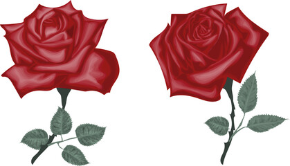 Realistic Red Roses  - Flower art