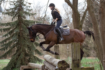 Pferd und Reiterin springen über einen Baumstamm in die Tiefe