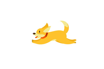 Shepherd dog-welsh - corgi-pembroke in a collar. Dog icon or logo element.Vector illustration. Flat style. Standard breed design, side view. Cartoon character of a dog. Pet..