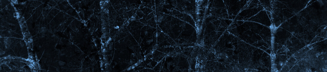 abstract black and dark blue colors background for design