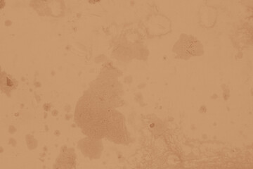 abstract brown color background for design. cocoa backdrop
