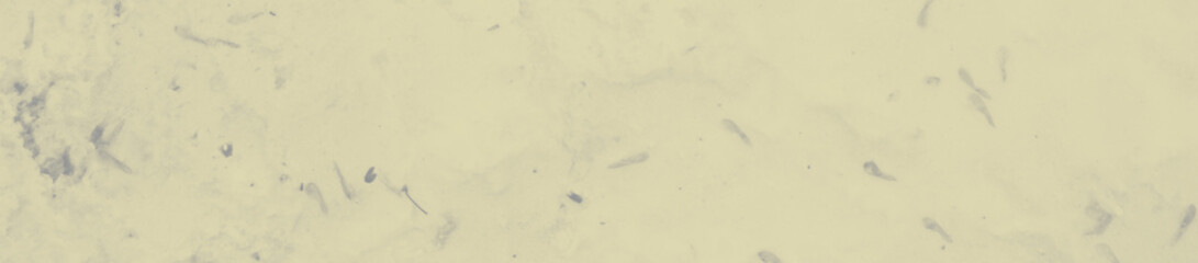 abstract grey and pale yellow colors background for design