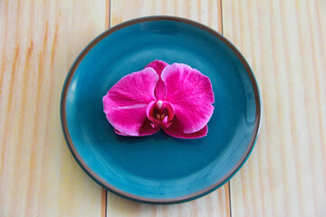 orchid flowers with petals on a decorative plate