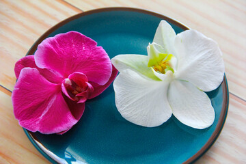 Obraz na płótnie Canvas orchid flowers with petals on a decorative plate